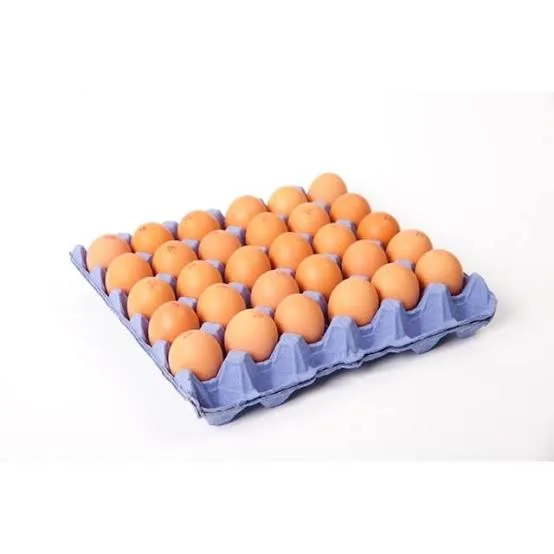 TELUR MR